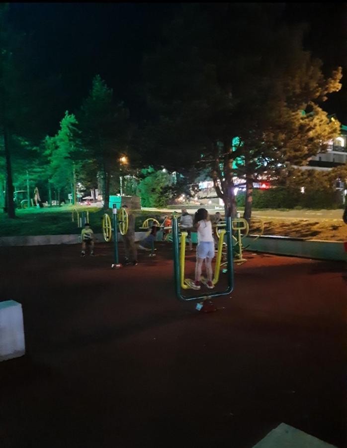 Jagoda * Zlatibor